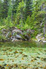 The Lostine River in the Wallowa Mountains of northeast Oregon