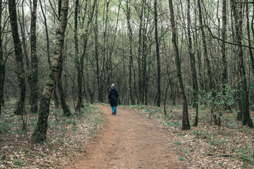 Fototapeta premium Female tourist with black coat walking on forest path. Rear view.