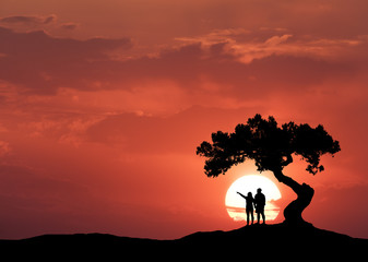 People under the crooked tree on the background of sun. Silhouette of a standing couple on the...