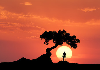 Man under the crooked tree on the background of sun. Silhouette of a standing sporty man on the...
