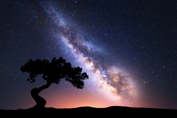 Milky Way with alone crooked tree on the hill. Colorful night landscape with bright milky way, starry sky and hills in summer. Space background. Amazing astrophotography. Beautiful universe. Travel