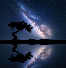 Milky Way with alone crooked tree on the hill near the river with sky reflection in water. Colorful...