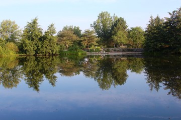 Fototapeta na wymiar The trees reflecting off the lake water.