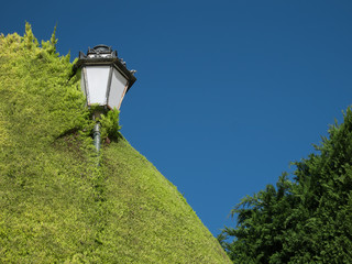 Lamp in the hedge