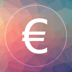 Euro icon