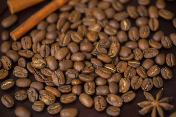 Grains of coffee close-up. Texture of extra large arabica Maragogype bean of very high quality, considered one of the best beans in the world. Coffee break concept.