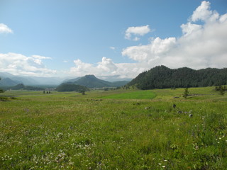 Mountain meadow under blue sky