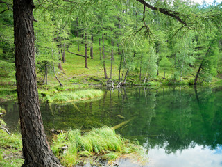 Mysterious forest lake