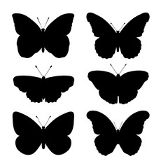 Butterflies silhouette isolated on white background set.