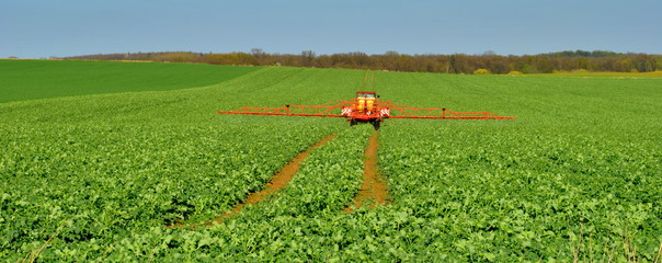 Maszyna rolnicza w polu © bnorbert3