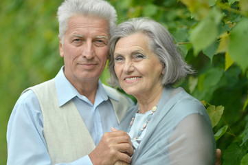 Elderly couple on a summer walk