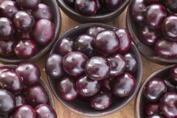 Acai amazonian fruit (Euterpe oleracea)