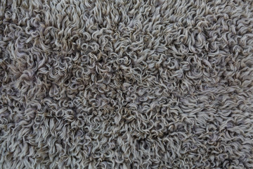 Wool background, closeup of a sheepskin