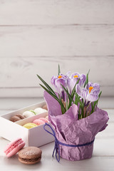 Festive spring composition with crocuses pot and box of macarons on purple background