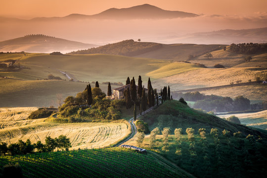 Scenic view of farmhouse with cypress and olive trees on hill