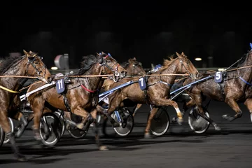 Photo sur Plexiglas Léquitation course de trot attelé en filé