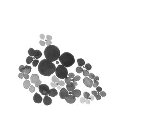 水墨画　花　あじさい