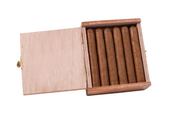 Cigars in wood box brown on white background.