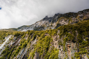 Fototapeta na wymiar Mountain of Milford Sound