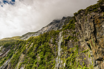 Fototapeta na wymiar Mountain of Milford Sound