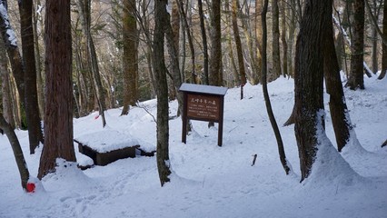 三峯千年の森