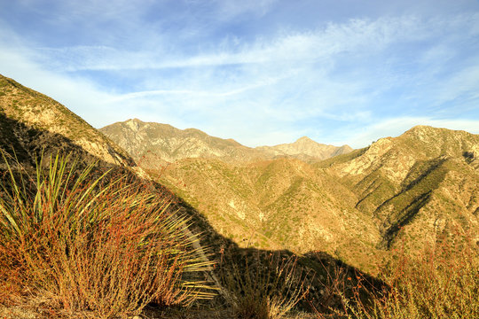 Angeles national forest