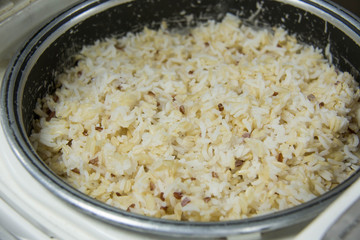  Electrical Rice Cooker with brown Rice