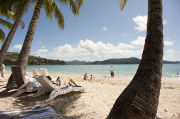 Hamilton Island Scene