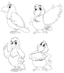 Animal outline for parrot birds