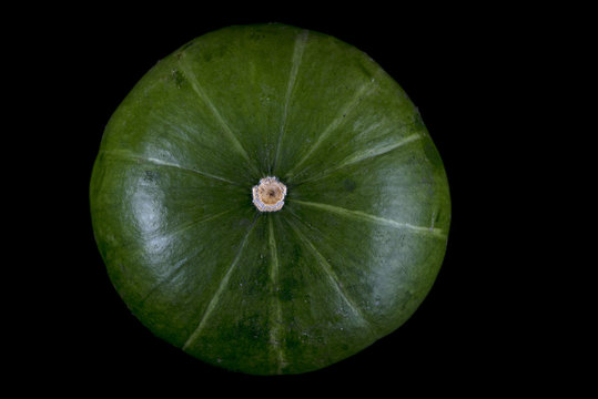 Green zucchini close up