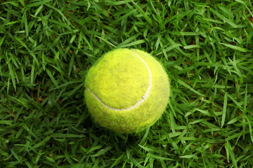 Tennis ball put on the grass background scene.