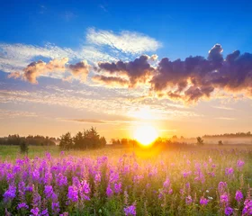 Rugzak rural panorama landscape with sunrise  and  blossoming meadow © yanikap