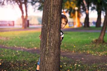 The boy hides behind a tree in the park