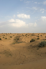 砂漠の轍