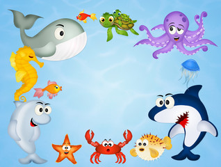 sea life animals