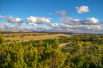 Clare Valley in rural South Australia is a mixture of farming and wine growing properties