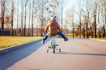 Boy riding his bicycle at asphalt road on a sunny day. Back view.