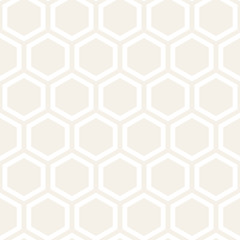 Vector Seamless Pattern. Abstract Geometric Background Design. Stylish Lattice Texture
