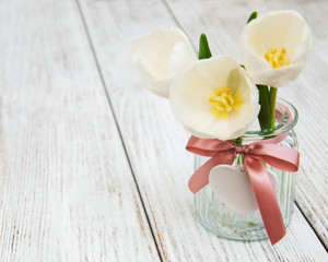 Obraz na płótnie Canvas Spring tulips flowers