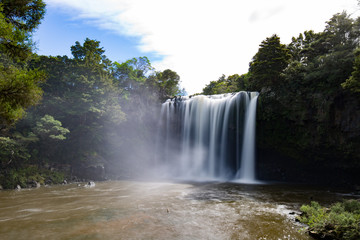 Rainbow Falls Kerikeri in Neuseeland