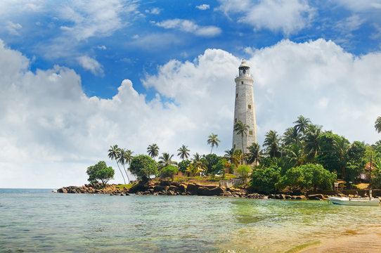 lighthouse, lagoon and tropical palms (Matara Sri Lanka)