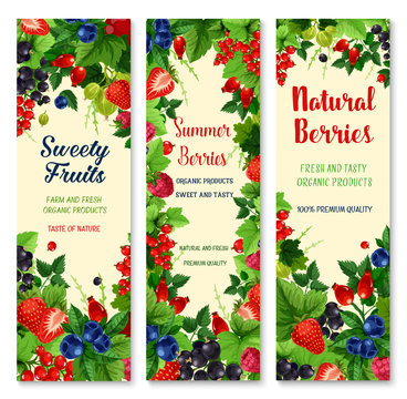 Fresh berries and fruits vector banners set