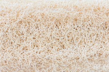 Dry Luffa, luffa sponge textured background. - obrazy, fototapety, plakaty