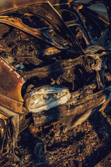 Burned car vehicle on parking lot