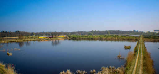 Nature area with train in the distance