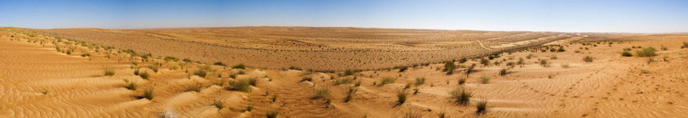 Wahiba Sand Desert, Oman
