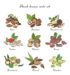 Nuts set, different kinds. Collection with almond, macadamia, pistachio, walnut, cashew, peanut, brazilian, pecan. Colorful hand drawn illustration.