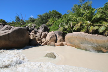 Fototapeta na wymiar Anse Lazio Beach, Praslin Island, Seychelles, Indian Ocean, Africa / The beautiful white sandy beach is bordered by large red granite rocks.