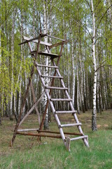 ambona myśliwska na skraju lasu © robert6666