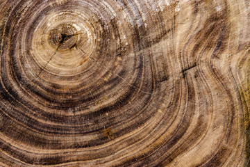 Naklejka premium wood background